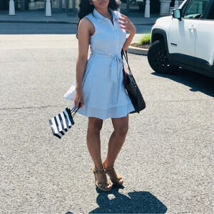 Pin stripe belted collar dress